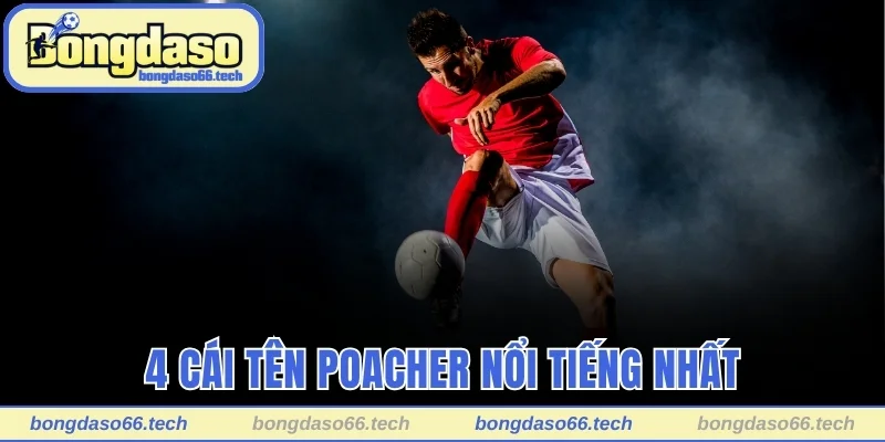 Poacher Trong Bóng Đá Là Gì? Top 4 Cái Tên Nổi Bật Nhất 3 4 cái tên Poacher nổi tiếng nhất