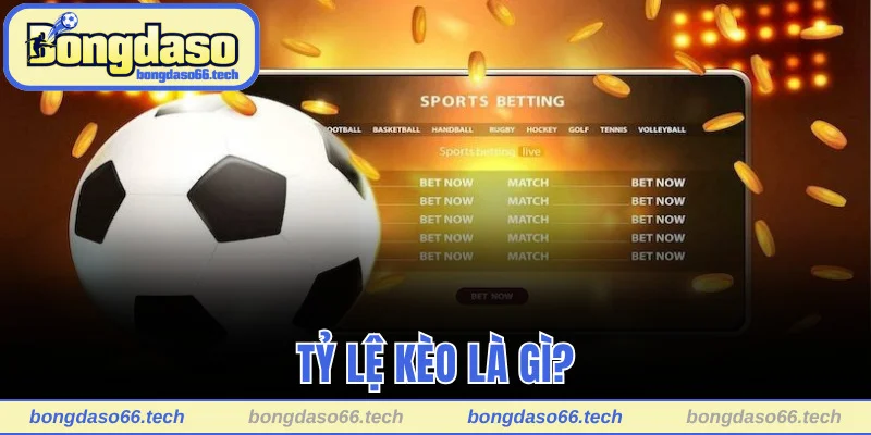 Tỷ Lệ Kèo Bongdaso - Cập Nhật 24/7 Chuẩn Xác Từng Giây 1 Giải thích khái niệm tỷ lệ kèo Bongdaso